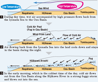 How does the Storm Occur?