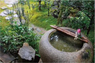 山荘内の庭園