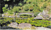 鶴亀を配した池泉庭園