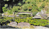 Pond and Fountain Garden with Islands Shaped like a Turtle and a Crane