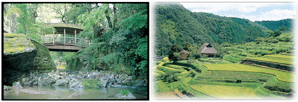 河辺の風景・肱川の田園風景