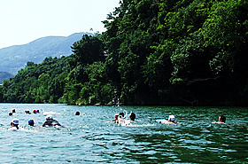 肱川夏季水泳学校