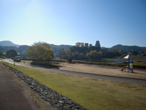 緑地公園全景2