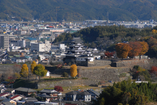 大洲城跡（遠景）