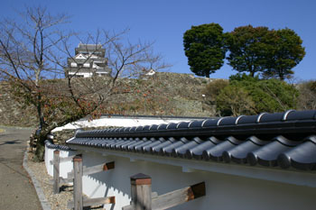 大洲城を南側から見た写真です