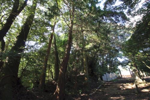 戒川三島神社社叢