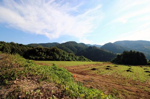 長瀬遺跡