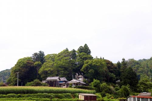 予子林客神社社叢