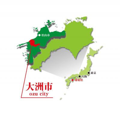 大洲地図