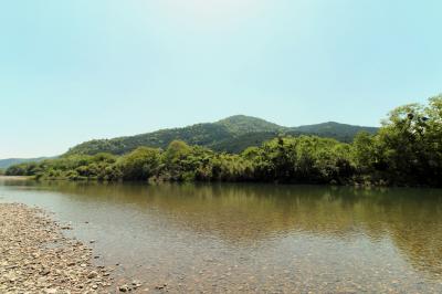 柚木のエノキ樹叢