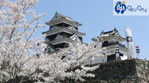 満開の桜と大洲城の写真