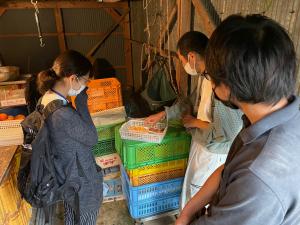 無花果の栽培状況見学