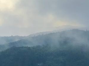 霧のある風景