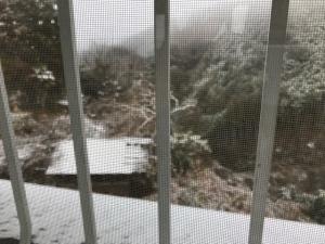 今年初の積雪。窓越しに撮ったのでとても見づらい写真になってしましました。