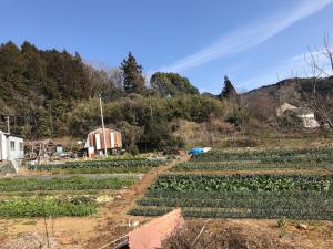 春になるともっと色んな野菜でにぎやかになるそうです。