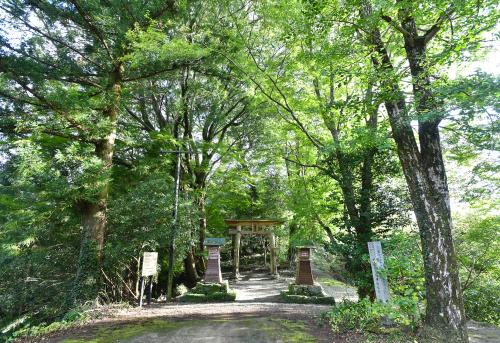 中居谷八幡神社社叢