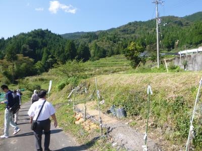 現地視察の様子