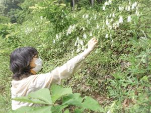もう少し暖かくなったらたくさん野草が出てくるので楽しみです。