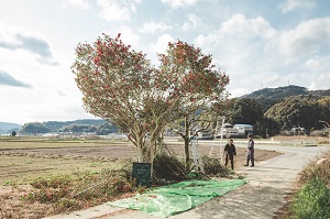 中村③