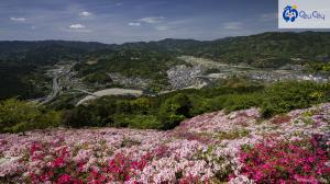 2022年大洲市カレンダーの写真（5月）冨士山のつつじ