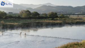 2022年大洲市カレンダーの写真（10月）瀬張り漁