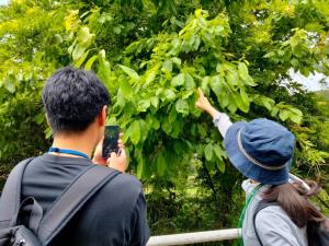 「この木は何だろう？」と話しているところです。参加者さんにチシャノキでは、と教えていただきました。