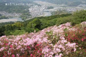 冨士山（とみすやま）のつつじ