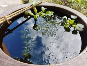 瓶に水を入れた風景