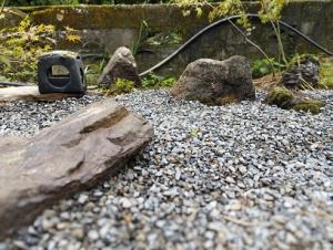 家の枯山水