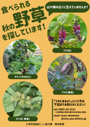 ポスター 野草を探しています！ 秋 表