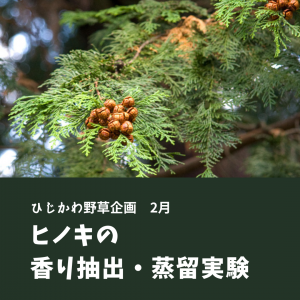 蒸留する植物は変更する可能性があります。