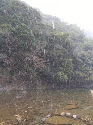 降り始めた時はあんな大雪になるとは思いませんでした。