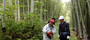 ６月柳沢林業研究会活動の様子