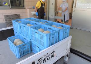 愛たい菜からメロンが届いた写真