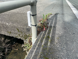 西大洲地区設置状況写真