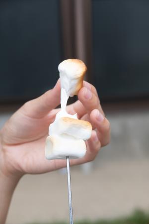 ９月焼きマシュマロ
