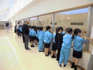 二階からの見学の様子