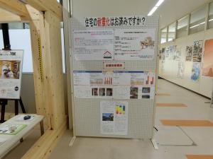 展示写真④