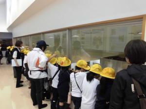 食器の保管場所の見学