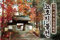 뇨호지불전