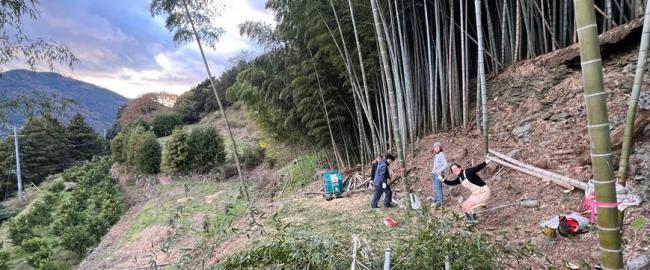 竹林整備