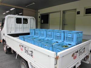 愛たい菜からスイカを納品している写真
