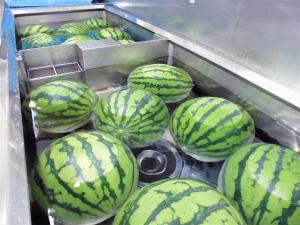水に浮いているスイカ