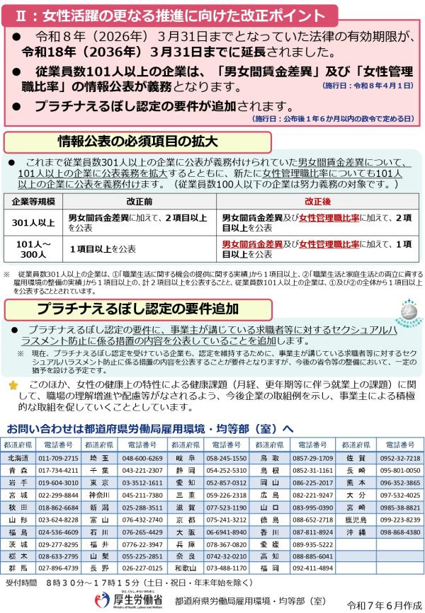 チラシ裏面