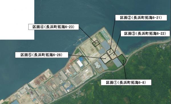 拓海