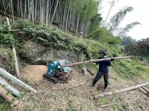 山林竹チップ