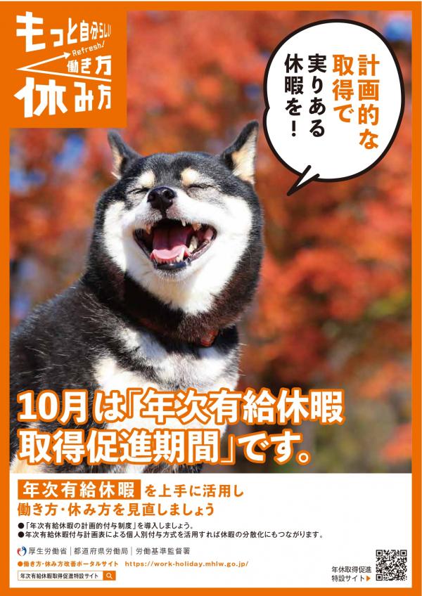 チラシ表面
