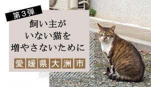 クラウドファンでイング募集画像