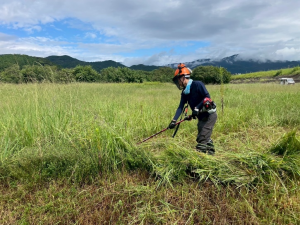 緑地公園草刈り1