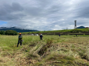 緑地公園草刈り2